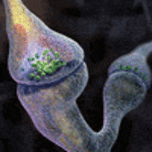 actualites_actu_photo_1085_371.gif