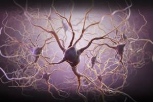 maladies neurologiques